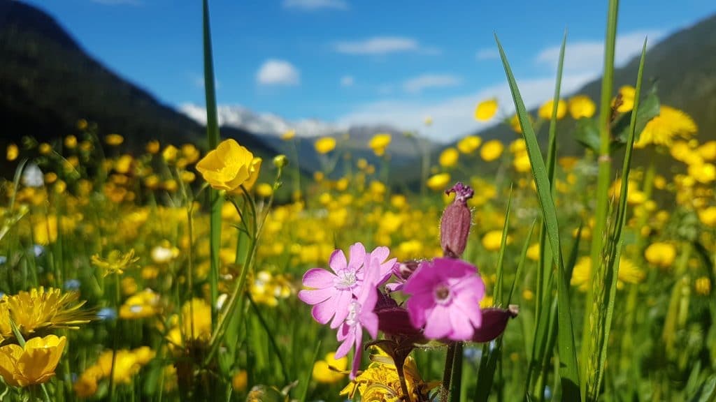 Yoga-Detox-Workshop